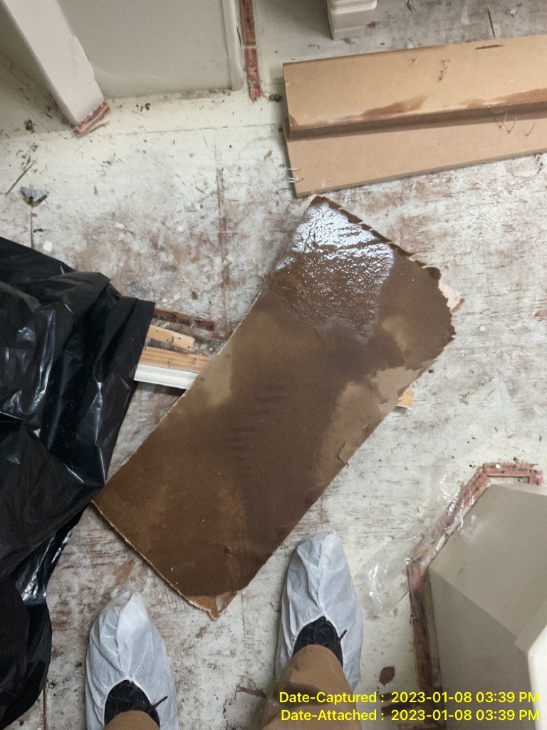 Common Causes of Water Damage in Seattle homes